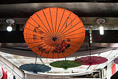 《EA SPORTS FC 24》——Ultimate Team 深度解析与特色介绍